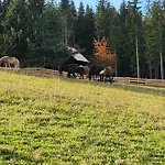 Urige Waldbienenhuette *