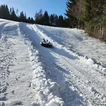 Апартаменты Urige Waldbienenhuette *