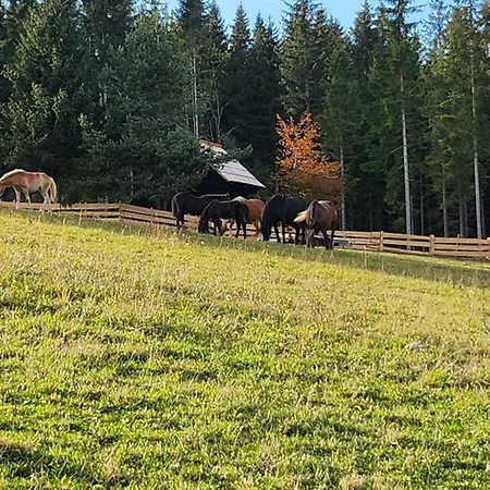 Urige Waldbienenhuette *