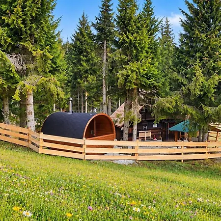 Urige Waldbienenhuette