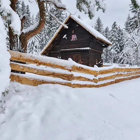 Urige Waldbienenhuette Appartement Diex