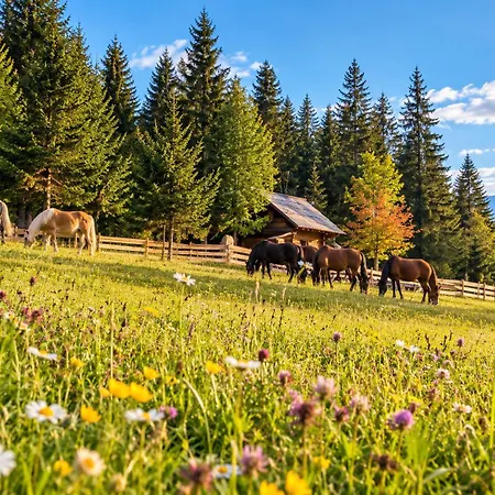 Appartement Urige Waldbienenhuette *