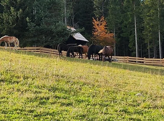 Urige Waldbienenhuette *