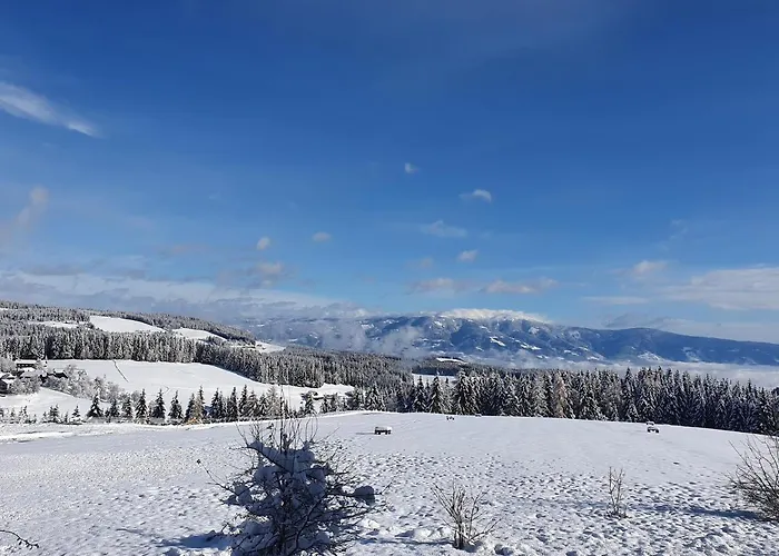 Urige Waldbienenhütte Apartment *