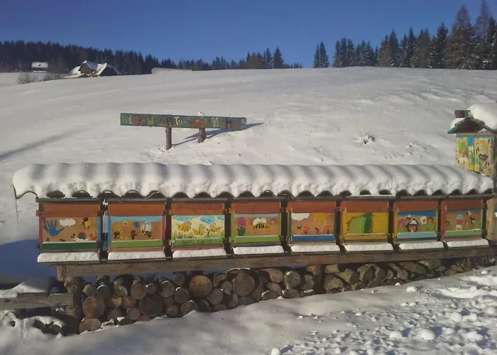 Urige Waldbienenhütte Apartment *