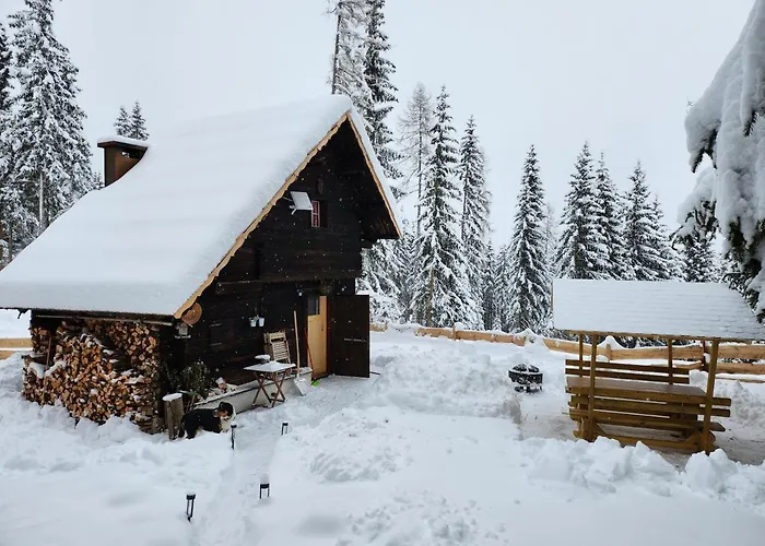 Apartment Urige Waldbienenhütte