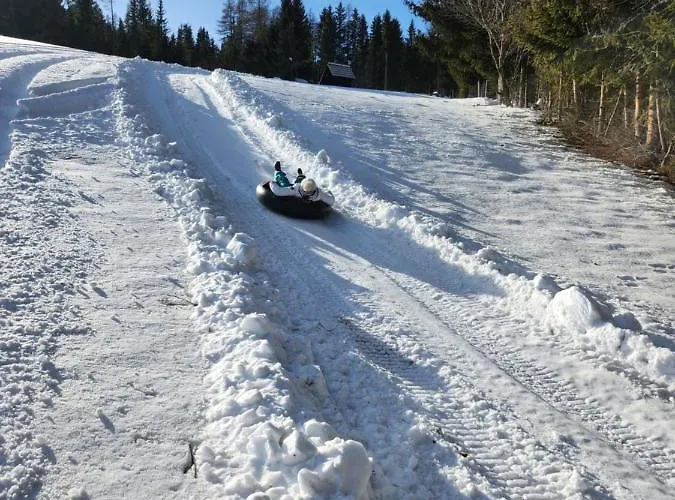 Apartment Urige Waldbienenhütte *