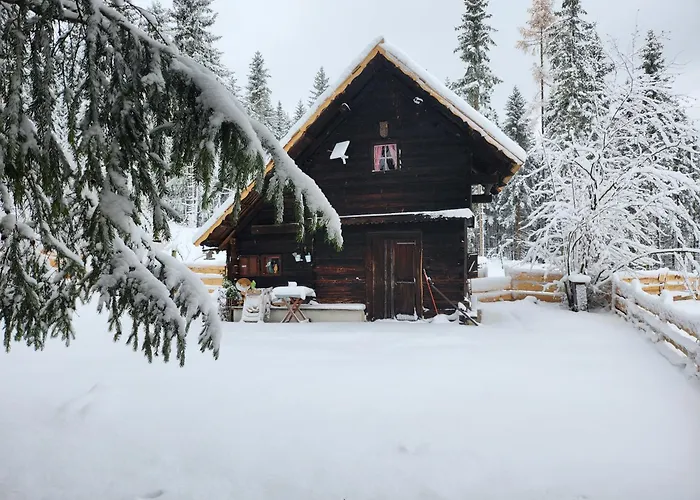 Urige Waldbienenhütte *